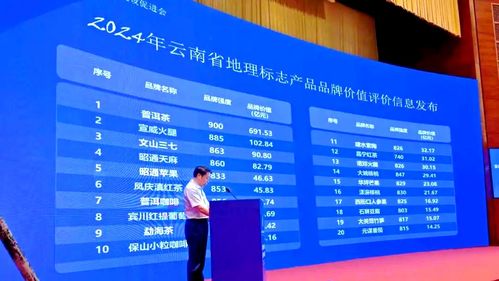 臨滄地標亮相面向南亞東南亞地理標志活動