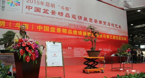 輝煌的記憶 2015年昆明 斗南 中國(guó)盆景 精品邀請(qǐng)展暨云南賞石根藝展