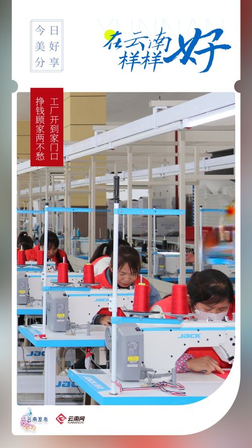工廠開到家門口,掙錢顧家兩不愁 在云南樣樣好