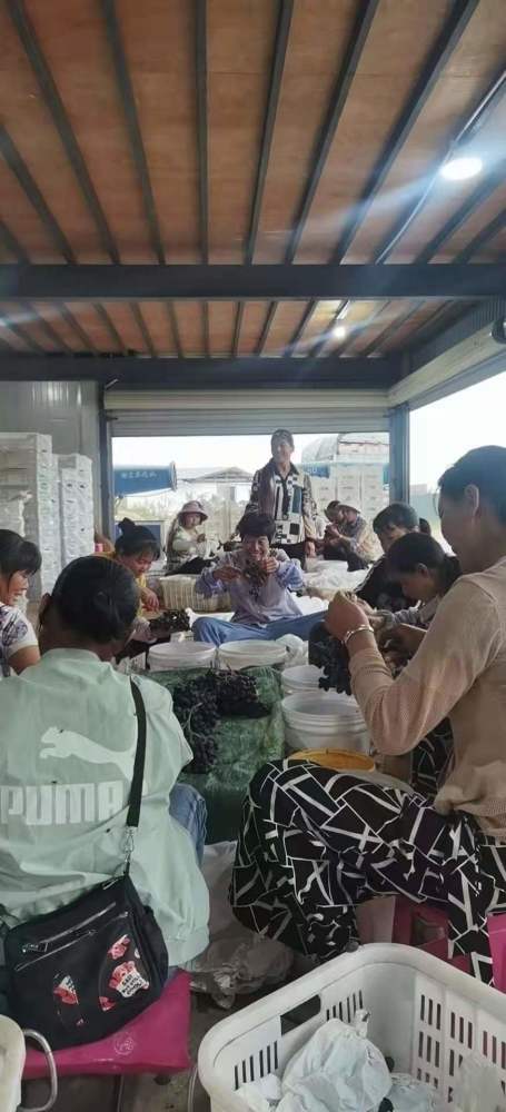 賓川興宏達(dá)入選2021年云南省 綠色食品牌 品牌目錄