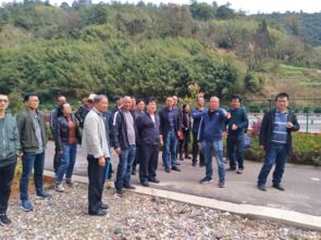 玉溪市政府信息公開