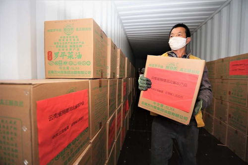 云南火車專列運(yùn)輸捐贈農(nóng)產(chǎn)品馳援湖北