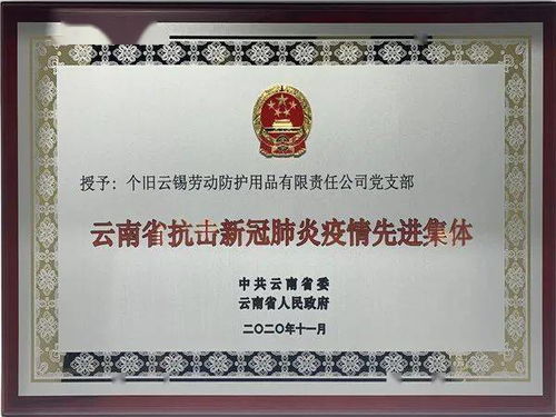 云錫勞動防護(hù)用品公司黨支部榮獲云南省抗擊新冠肺炎疫情先進(jìn)集體稱號