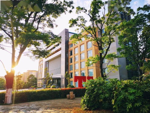 云南交通職業(yè)技術(shù)學(xué)院校慶公告 第一號(hào)