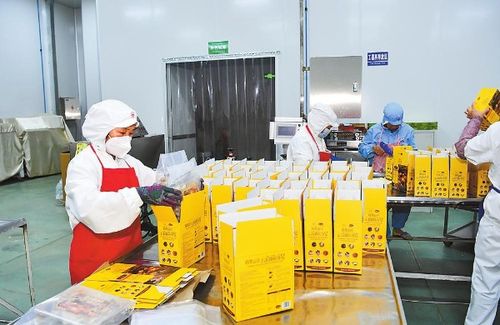 2024云南經(jīng)濟(jì)這么干 玉溪增強(qiáng)經(jīng)濟(jì)發(fā)展韌性推動(dòng)質(zhì)量效益提升